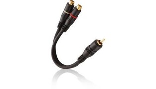 CABO Y 2F / 1M RCA