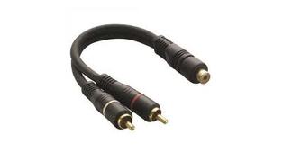 CABO Y 2M / 1F RCA