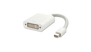 CABO DISPLAYPORT DVI X MINI DISPLAYPORT