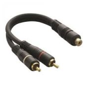 CABO Y 2M / 1F RCA